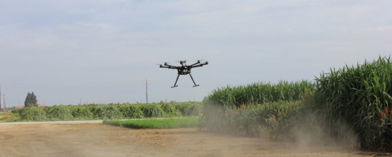 Drone flying over crops