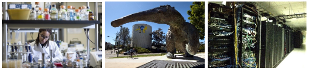 A collage of an Anteater statue, a lab technician pouring chemicals and a network room.