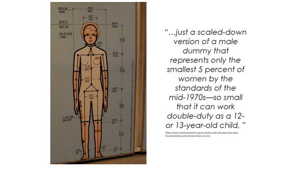 A scaled down version of a male dummy that represents only the smallest 5% of women by the standards of the mid-1970s - so small that it can work double-duty as a 12 or 13 year old child.