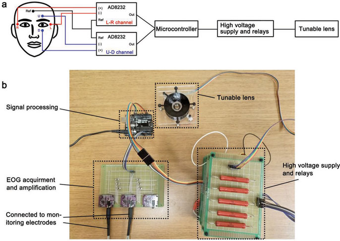 Schematic and photo of the soft lens system. Courtesy of Cai lab/Advanced Functional Materials