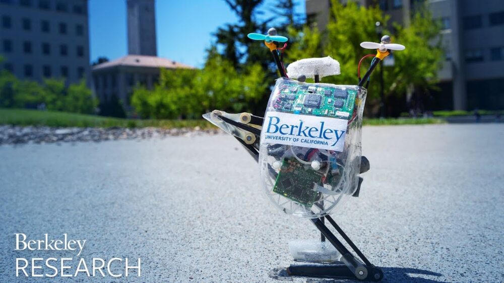 Since first unveiling Salto in 2016, UC Berkeley researchers have upgraded the robot with a host of new abilities. Now, it can navigate an obstacle course with ease and go on walks through Berkeley’s campus.