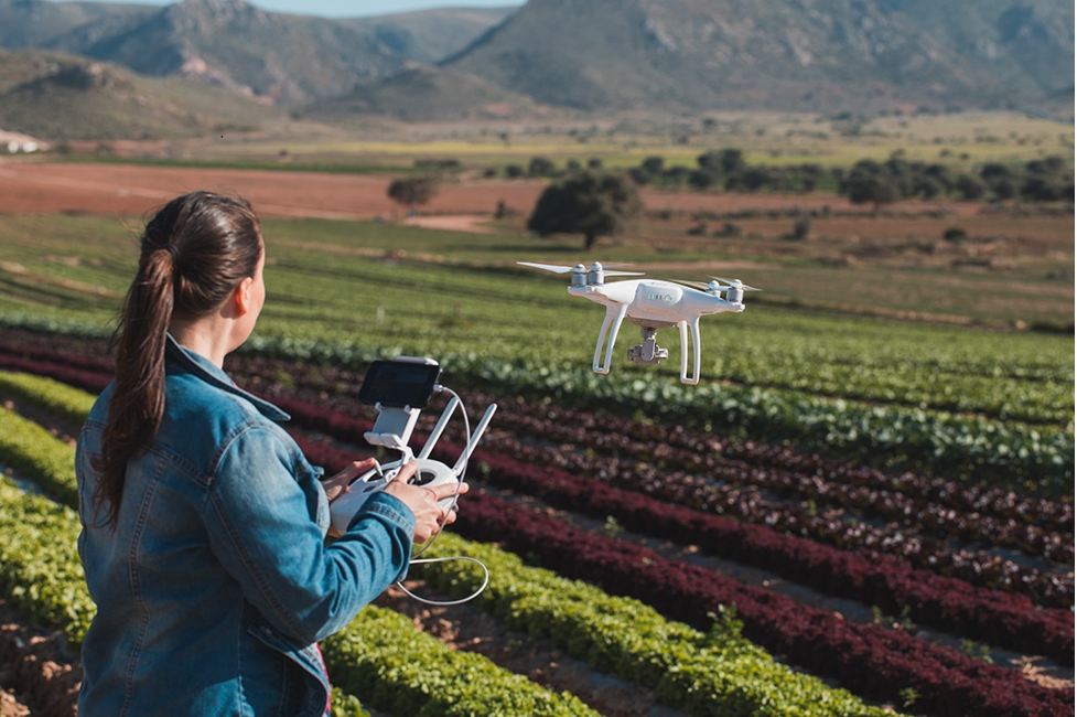 A woman flies a drone over a field