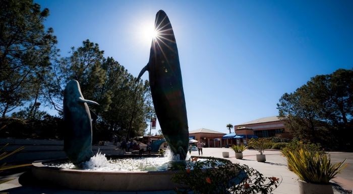 Birch Aquarium. Credit: Erik Jepsen/UC San