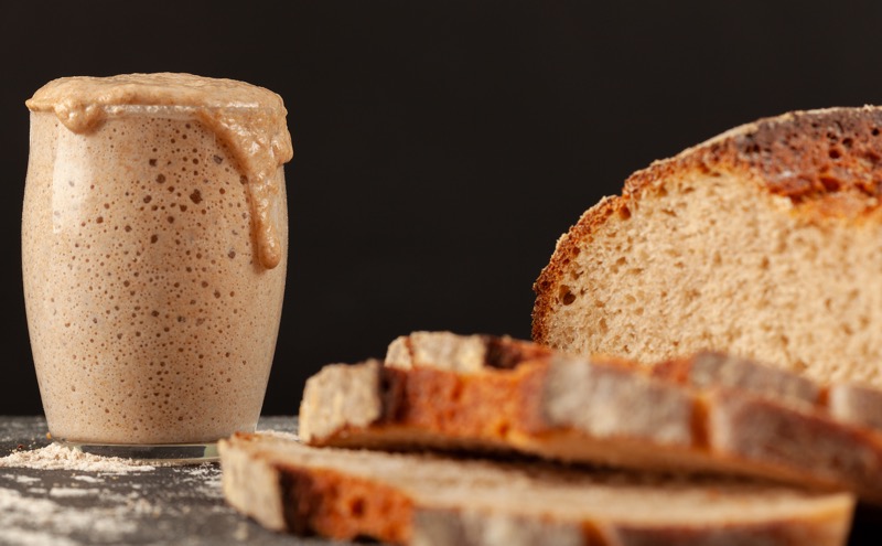 Sourdough and starter